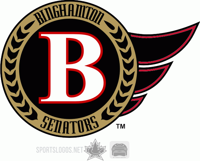 Binghamton Senators 2006 07-Pres Secondary Logo iron on transfers for clothing